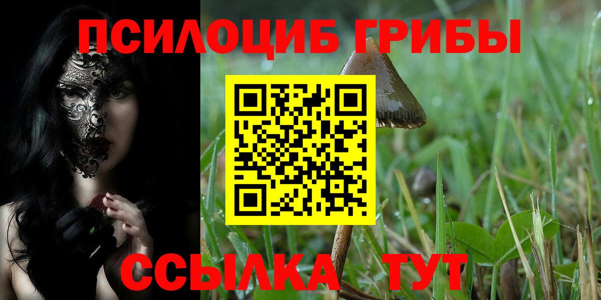 Псилоцибиновые грибы прущие грибы  Вход с VPN  Тара 